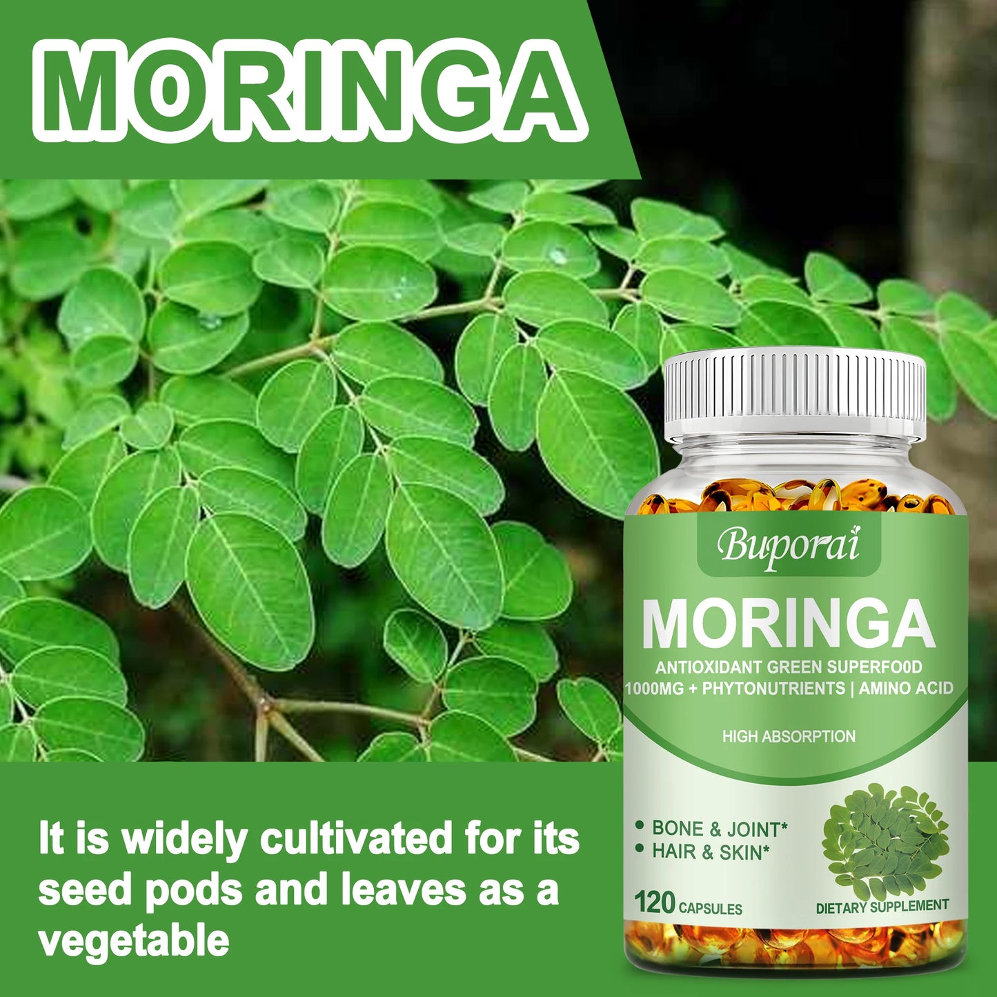 Moringa Capsules – Immune Support, Energy & Metabolism Boost | Natural Anti-Inflammatory Detox & Fat-Burn Support – 120 Capsules