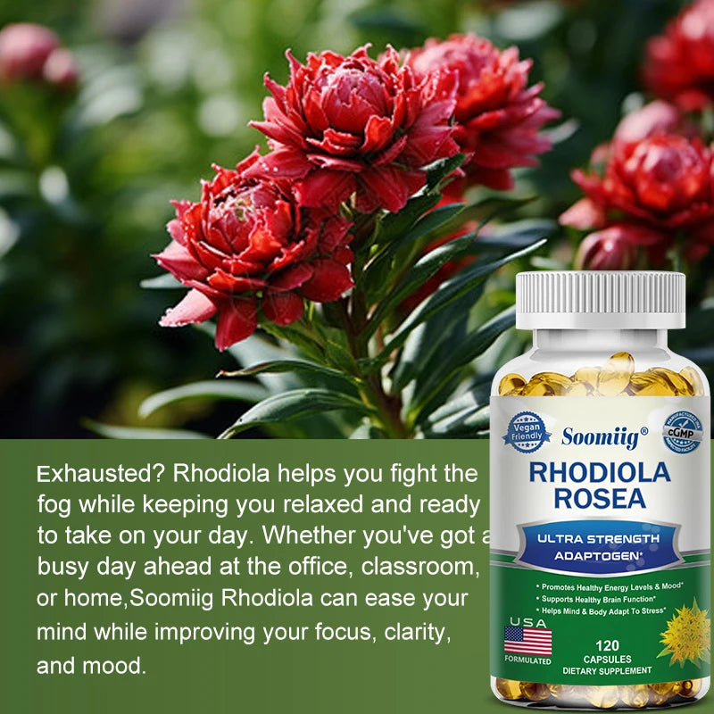 Rhodiola Rosea Capsules – Natural Energy, Focus & Mood Support (30, 60, 120 Count)