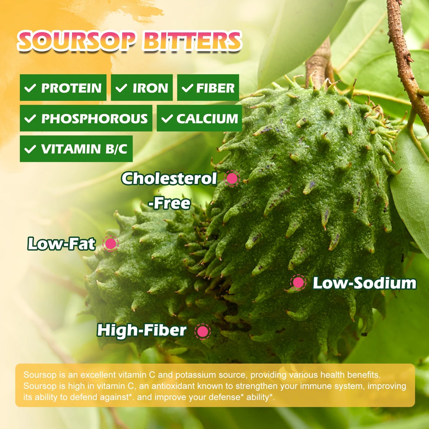 Soursop Graviola Extract Drops 60ML | Immune & Kidney Support | Black Seed Oil | Antioxidant & Detox Support
