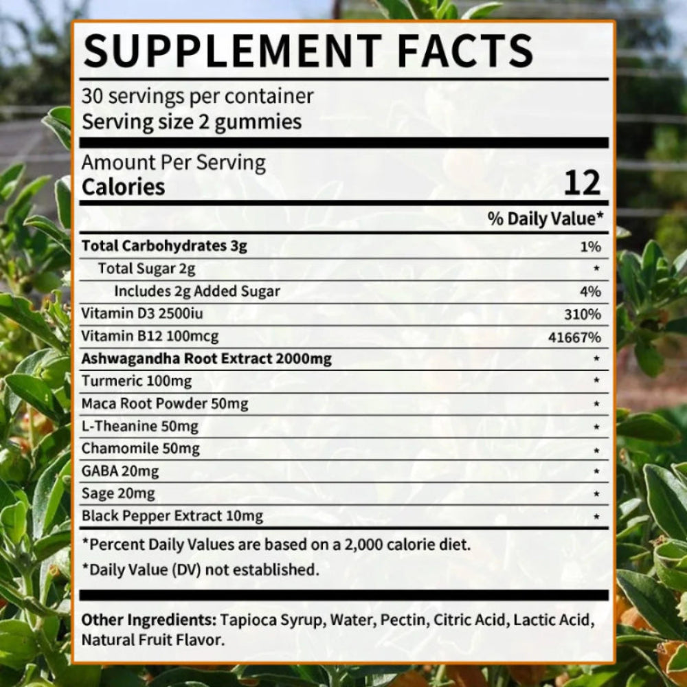 Ashwagandha Gummies with Turmeric & Vitamins – Stress, Mood & Memory Support (60 Count)